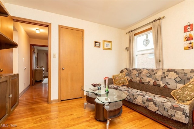 living room with light wood-type flooring