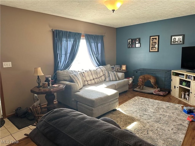 living room featuring a textured ceiling and hardwood / wood-style floors