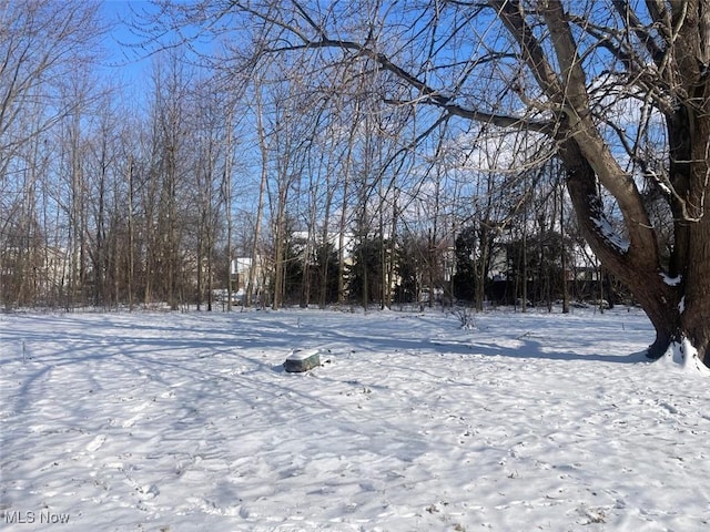 view of yard layered in snow