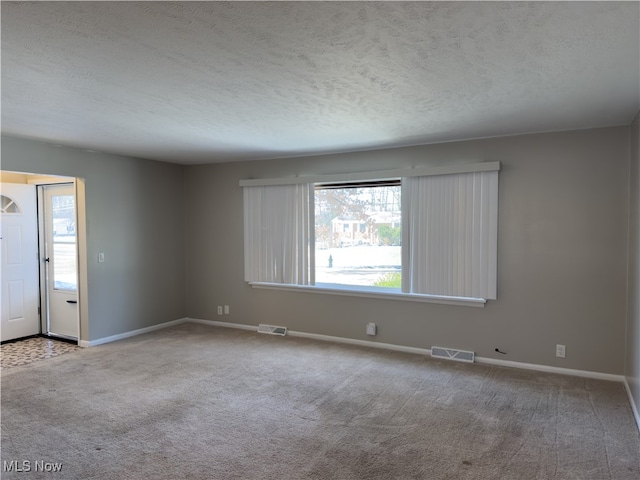 spare room featuring a textured ceiling, light carpet, and plenty of natural light