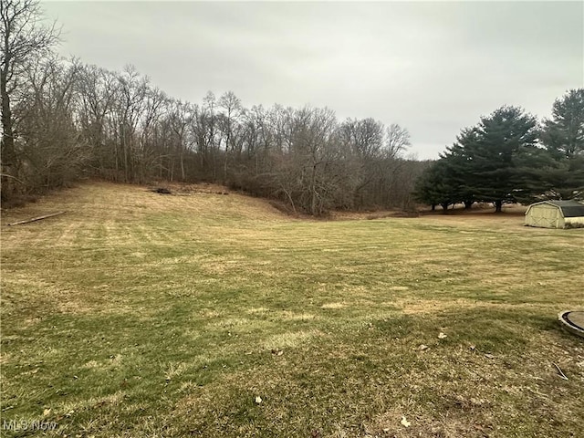 1425 Flint Ridge Rd, Hopewell, OH 43746 - view of yard
