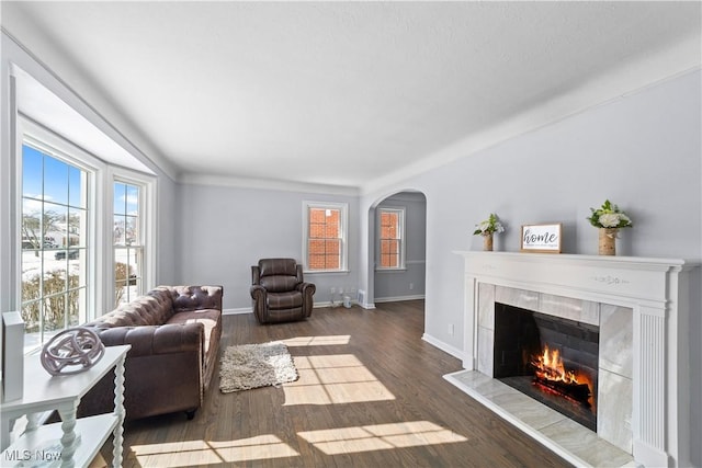 living room featuring plenty of natural light, dark hardwood / wood-style flooring, and a fireplace