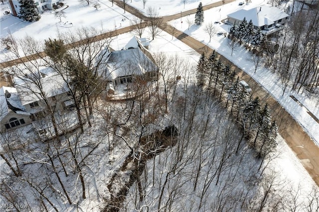 view of snowy aerial view