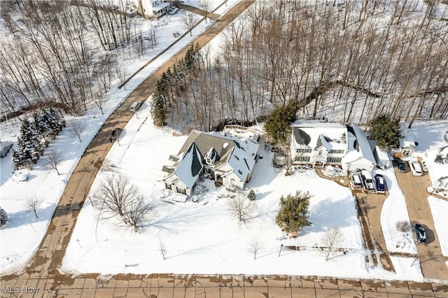 view of snowy aerial view