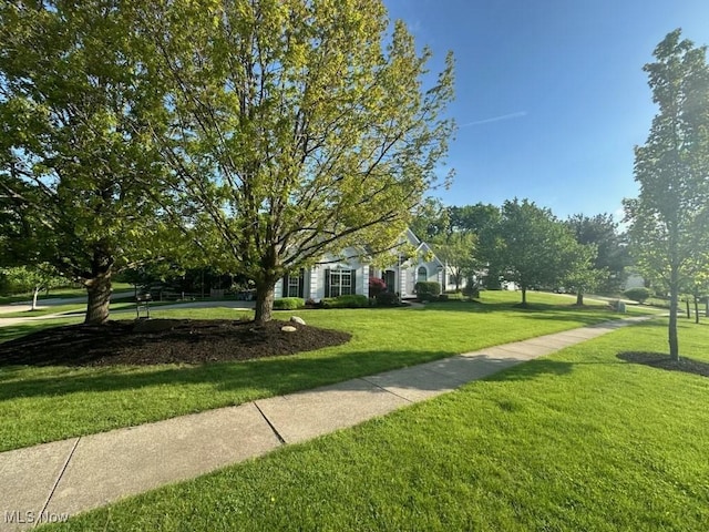 exterior space with a yard