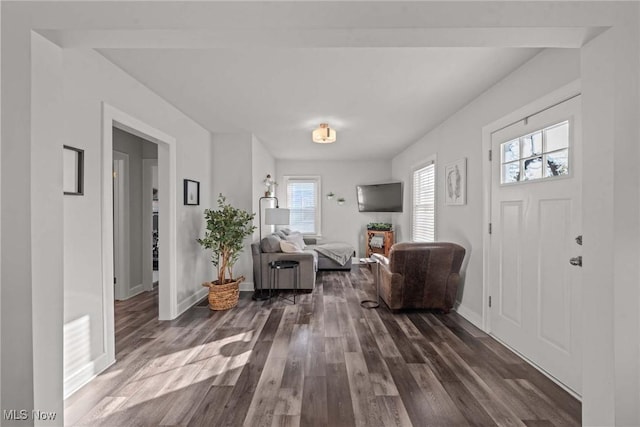 entrance foyer featuring dark hardwood / wood-style flooring