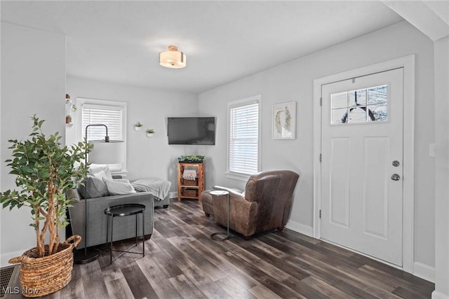 living room featuring dark hardwood / wood-style flooring