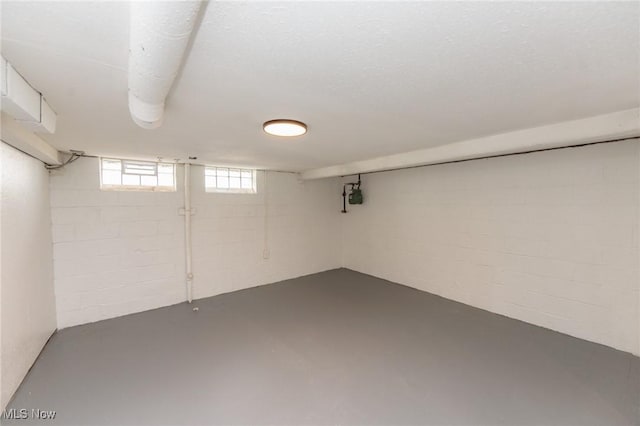 basement with concrete block wall