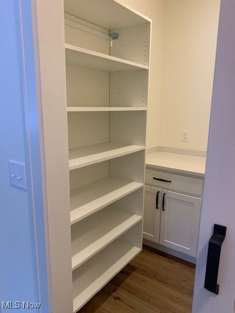 view of pantry