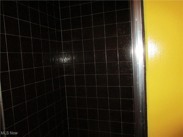 4520 E Wallings Rd, Broadview Heights, OH 44147 - bathroom view of a tile shower