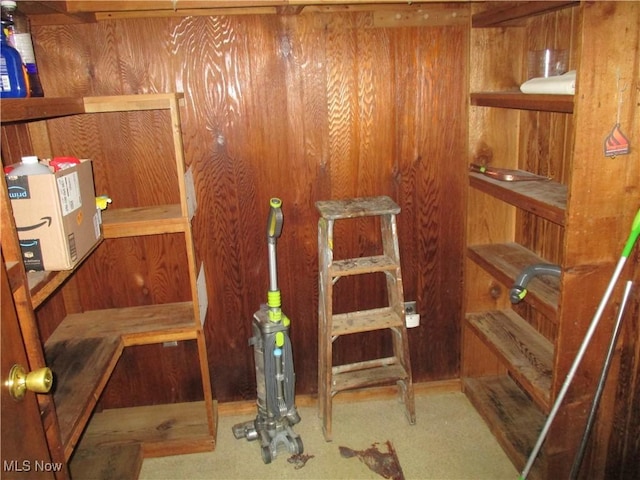 4520 E Wallings Rd, Broadview Heights, OH 44147 - detailed view of wooden walls