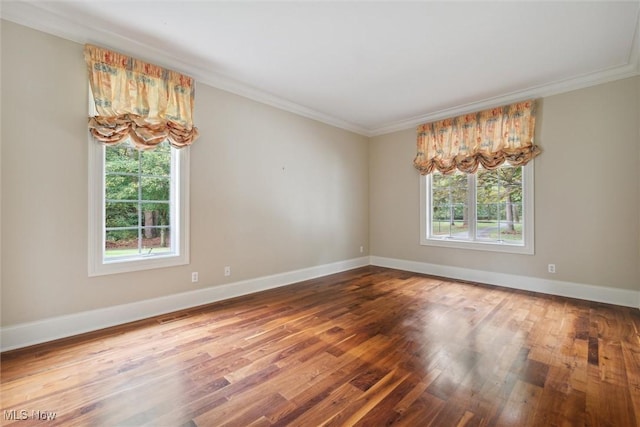 empty room featuring ornamental molding and wood-type flooring