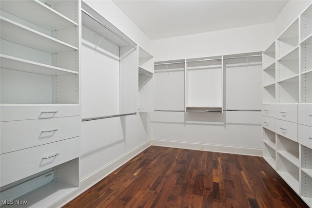 spacious closet featuring dark wood-type flooring