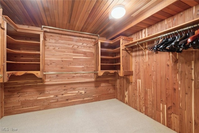 walk in closet with carpet floors