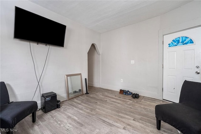 sitting room featuring light wood-type flooring