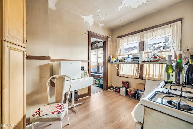 kitchen with light wood-style flooring