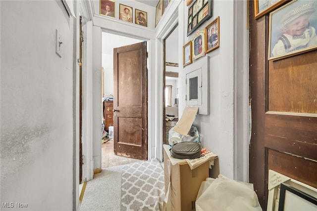 corridor with light colored carpet