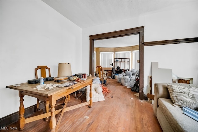 office area featuring wood finished floors