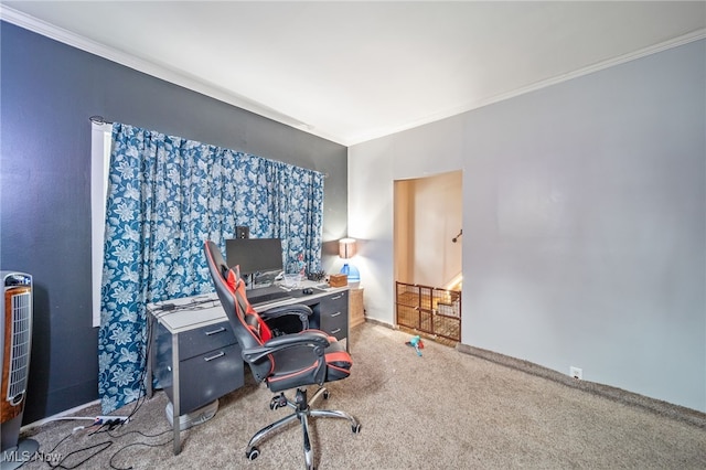 office space featuring crown molding and carpet