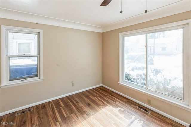 spare room with hardwood / wood-style flooring, ceiling fan, and a wealth of natural light