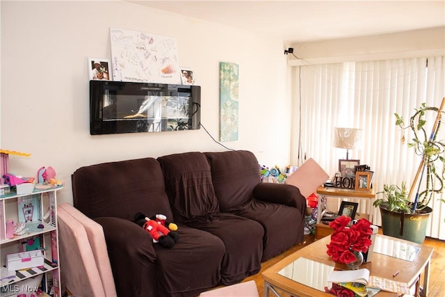 living room featuring hardwood / wood-style floors