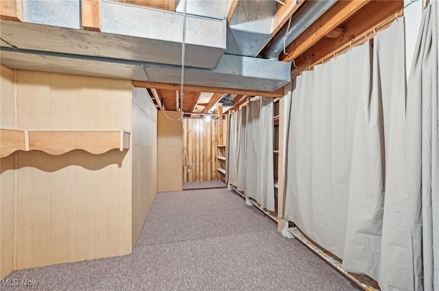 unfinished below grade area featuring carpet flooring