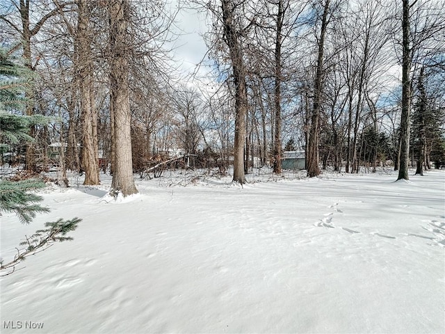 view of yard layered in snow