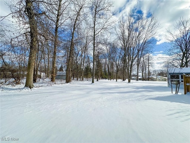 view of snowy yard