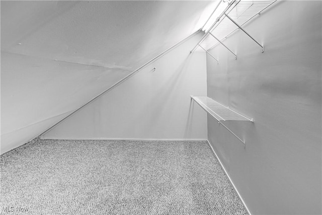 spacious closet featuring lofted ceiling and carpet flooring