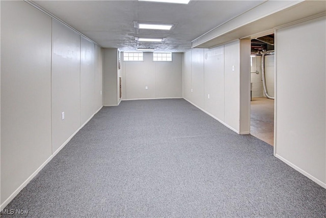 below grade area with carpet floors