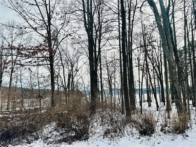 snowy landscape with a water view