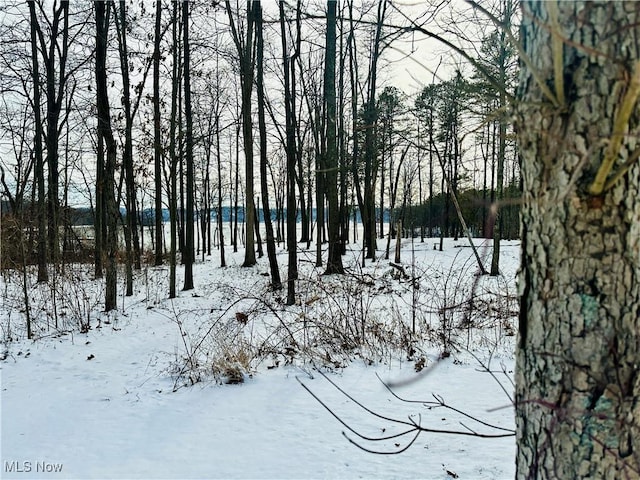 view of snow covered land