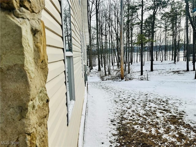 view of yard layered in snow