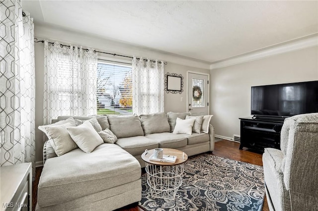 living room featuring dark hardwood / wood-style floors and a wealth of natural light