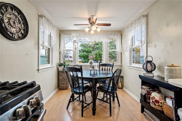 dining area featuring light hardwood / wood-style floors and ceiling fan