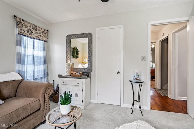 living room with light colored carpet