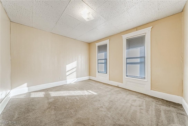 carpeted empty room with a paneled ceiling