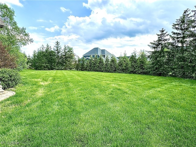 6470 Aberdeen Ln, Medina, OH 44256 - view of green lawn