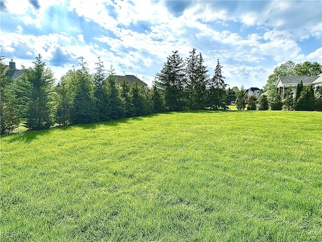 6470 Aberdeen Ln, Medina, OH 44256 - view of green lawn