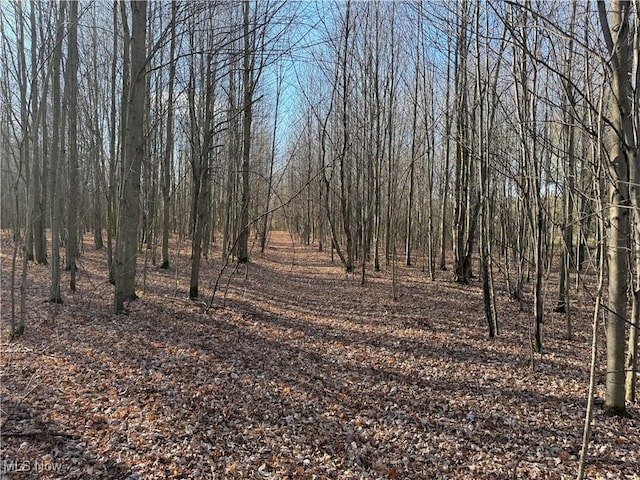 V/L Brown Rd, Ashtabula OH, 44004 land for sale