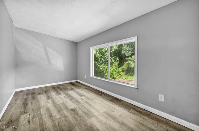 spare room featuring light hardwood / wood-style flooring