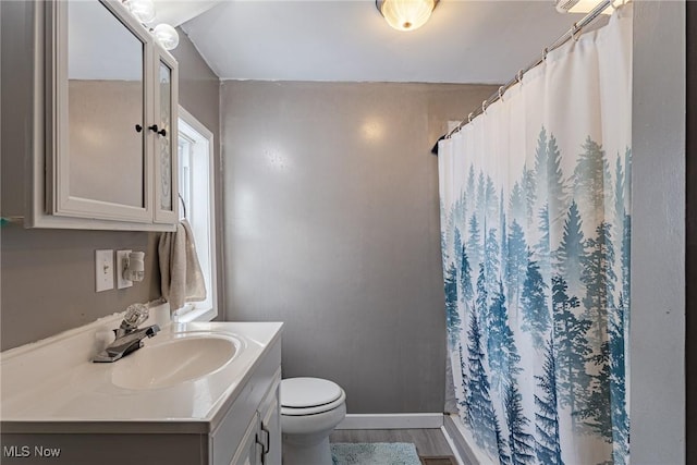 bathroom with toilet, vanity, wood-type flooring, and a shower with shower curtain