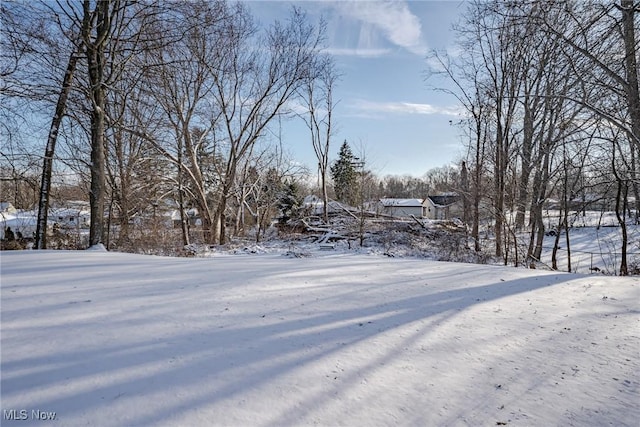 view of yard covered in snow