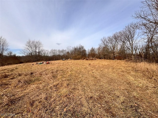 view of landscape with a rural view