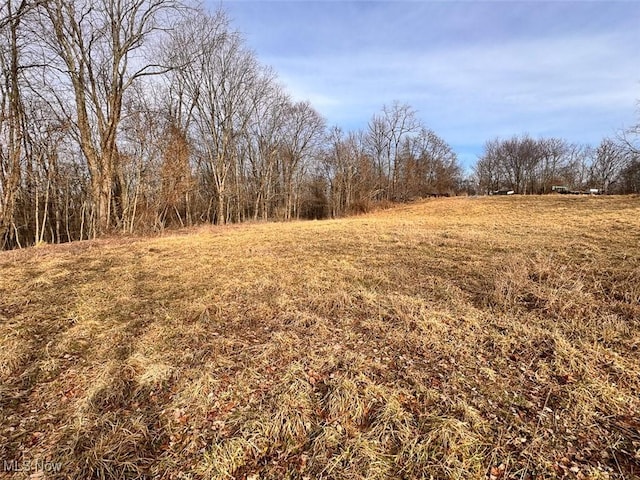 view of landscape