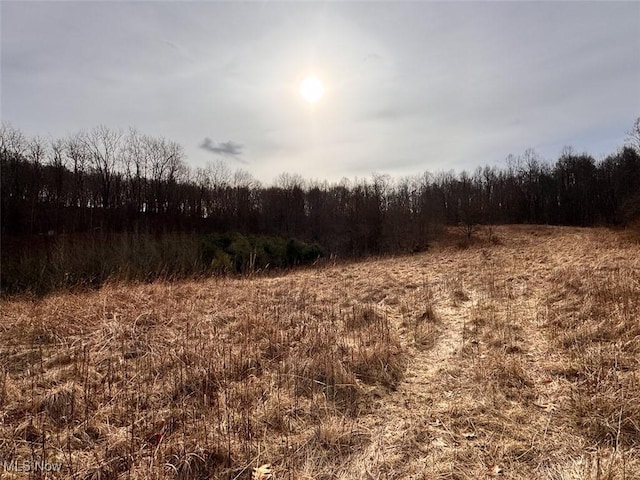 view of local wilderness