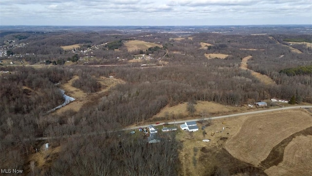 bird's eye view with a forest view