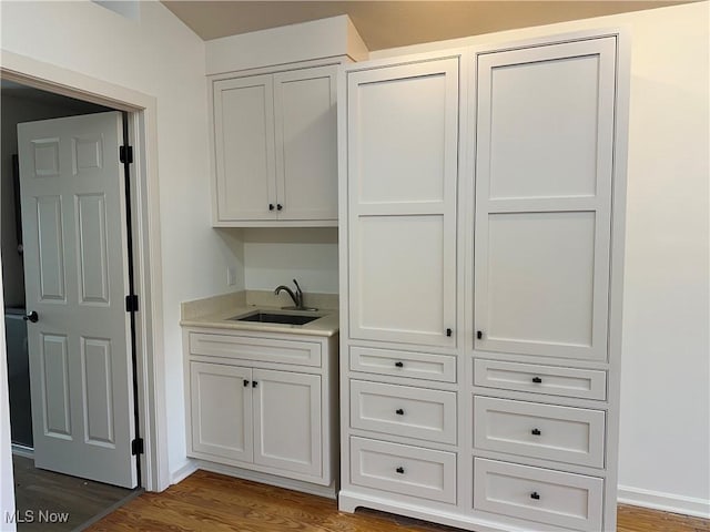 closet featuring a sink