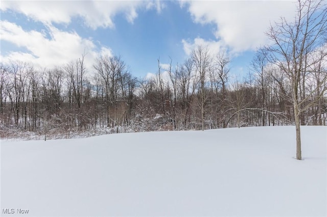 view of yard layered in snow