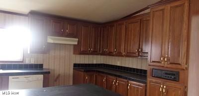 kitchen featuring dishwasher, under cabinet range hood, dark countertops, and brown cabinets